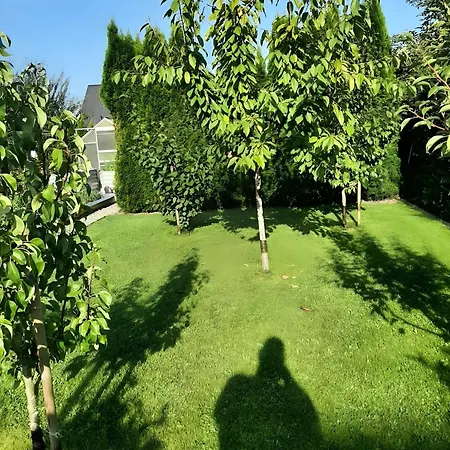 House Eifelglueck بيت ضيافة